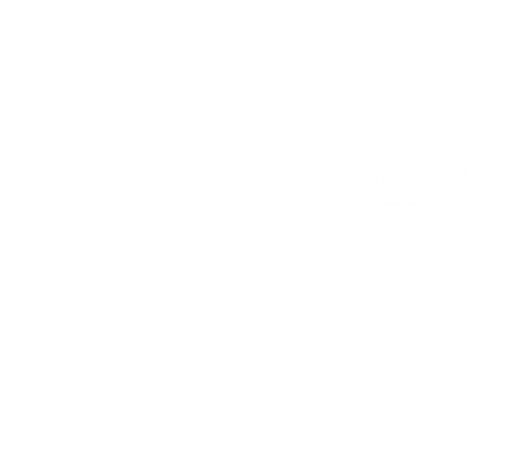 Palantir logo